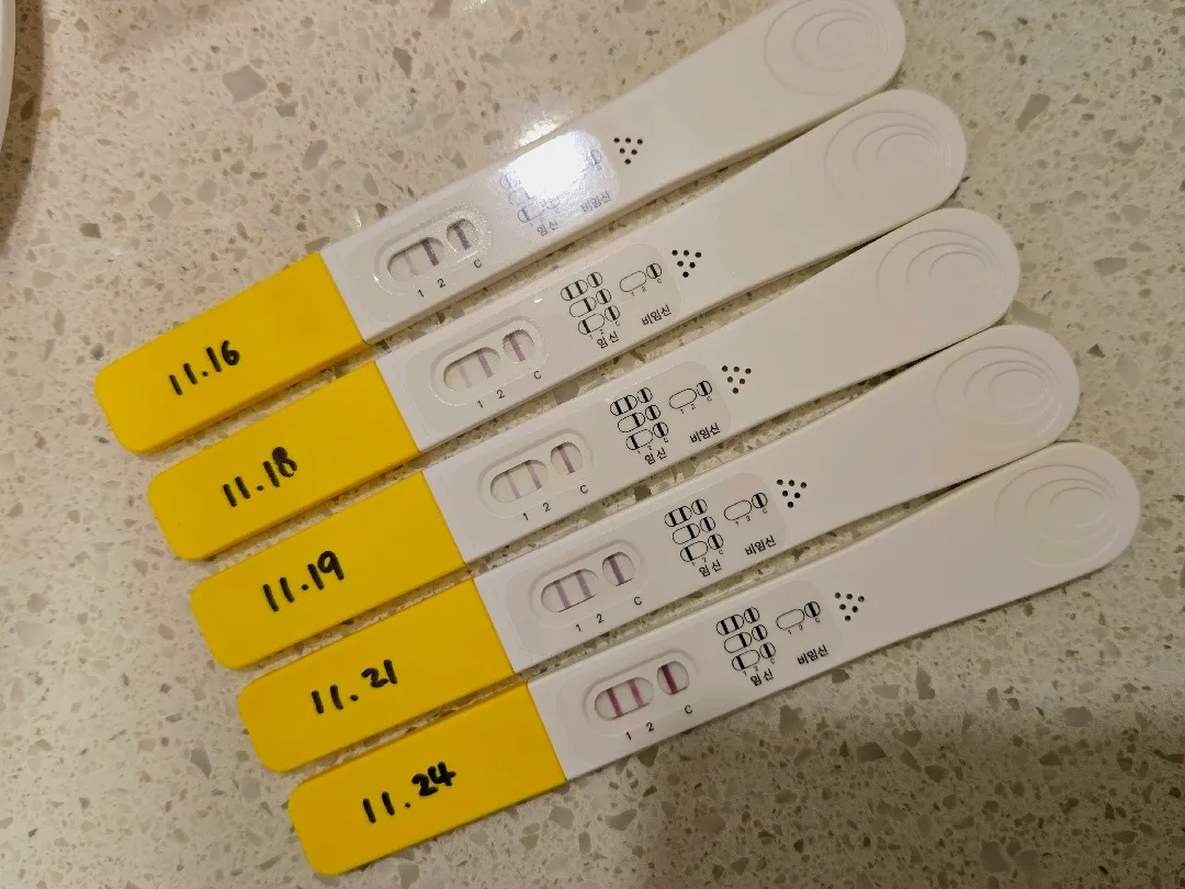 네이버주수 5주6일차 쓰리라인