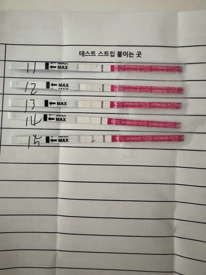 잘진해지고있는건가용??! 