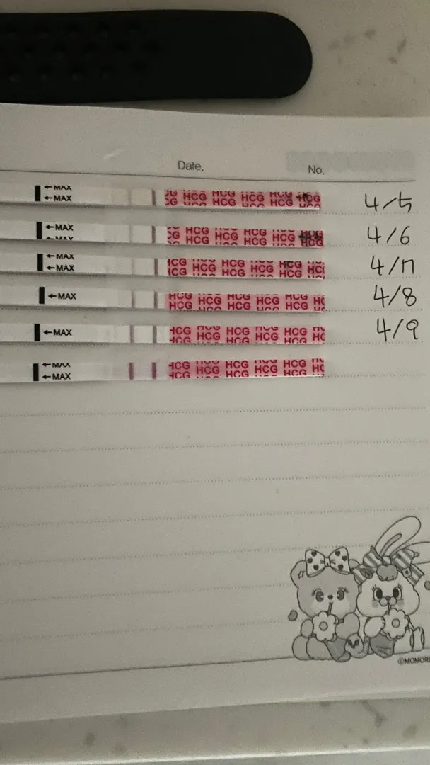 임테기 진하기