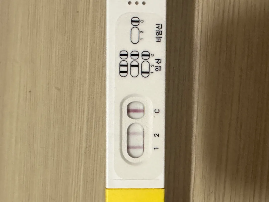 파이널테스트기