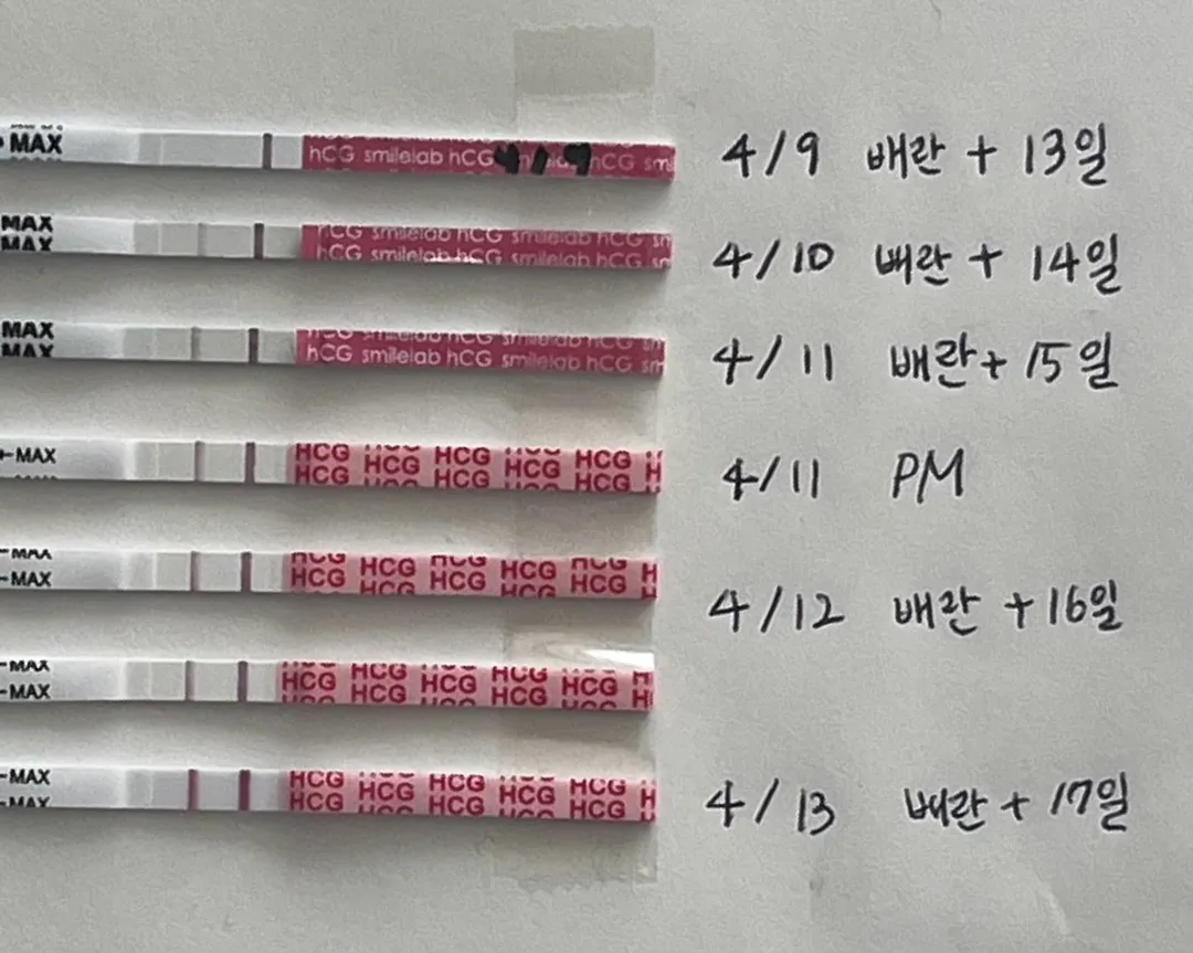 임테기 진하기 좀 봐주세요!!!!