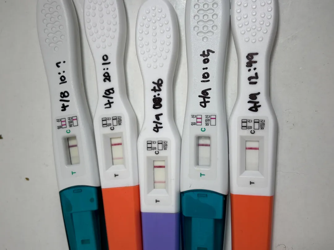 임신이 맞을까요?