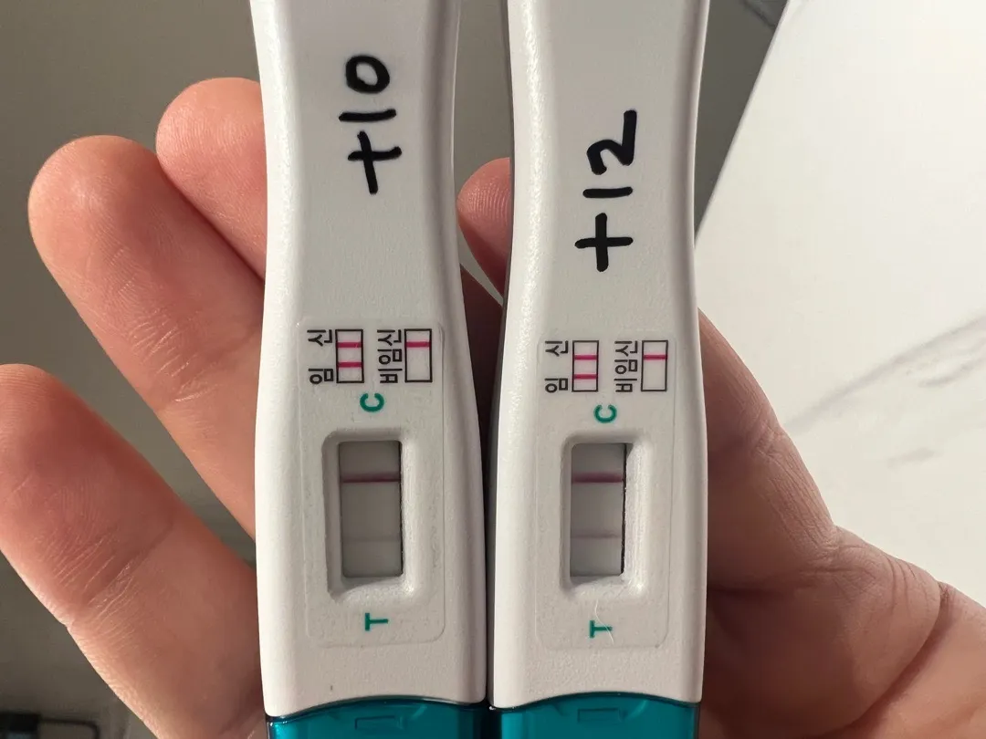 임테기 진하기 !