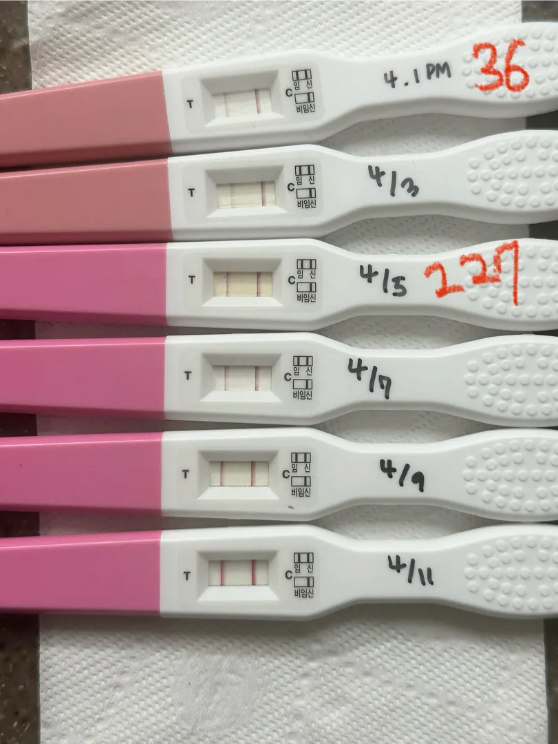 임테기! 아기집 볼수 있을까요?