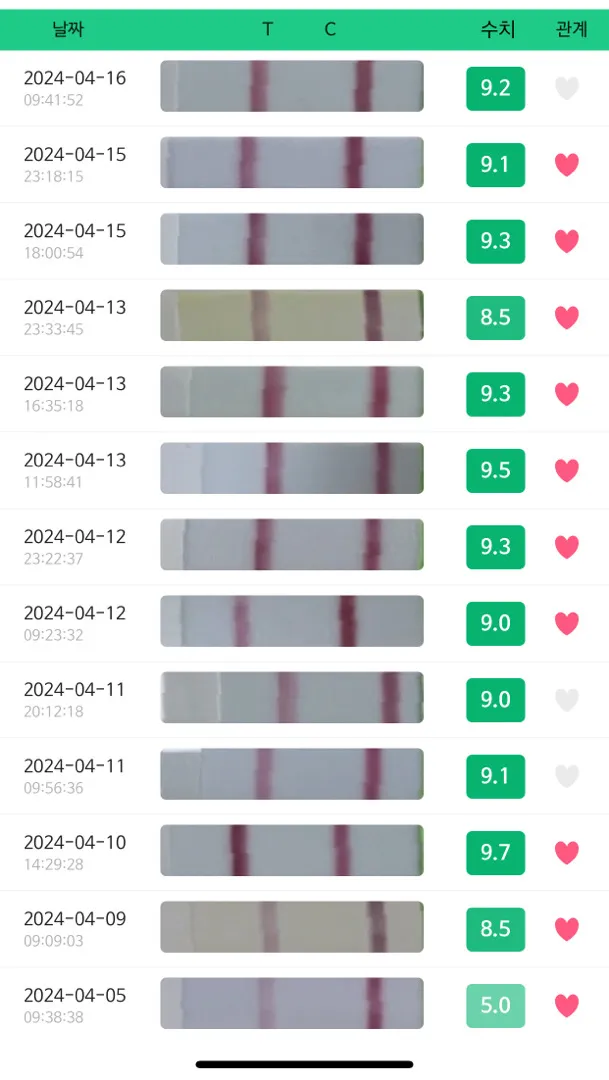 배테기지속, 임신?