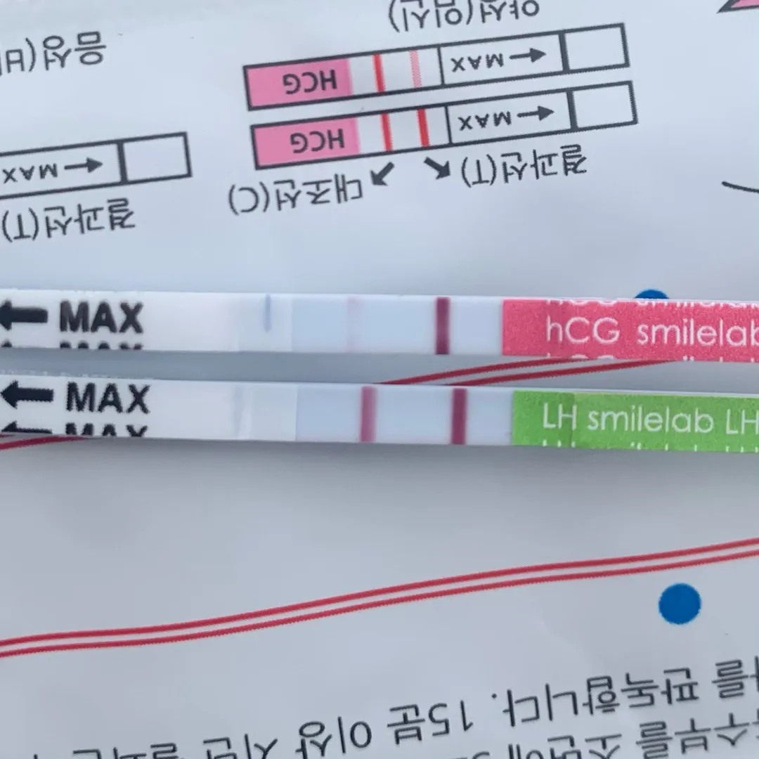 배테기 지속, 임신? (2)