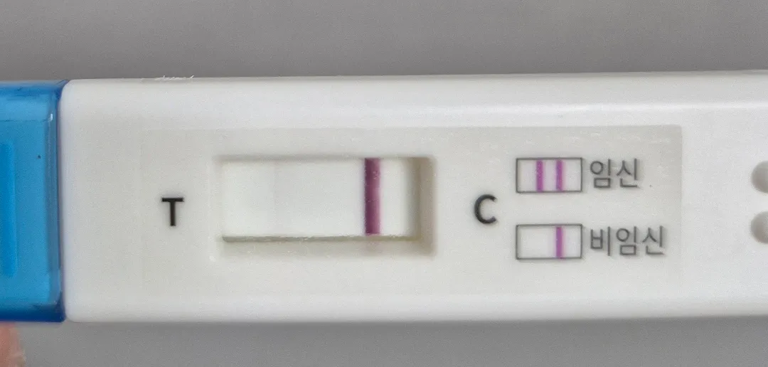 두줄이맞나여?