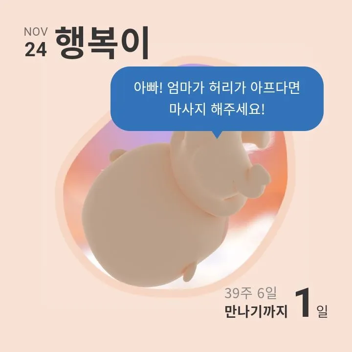 39주6일
