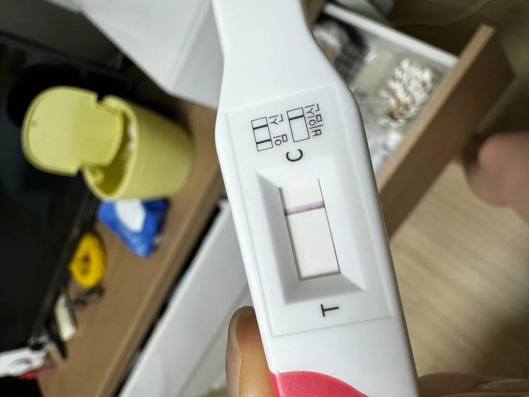 시약선 ?? 