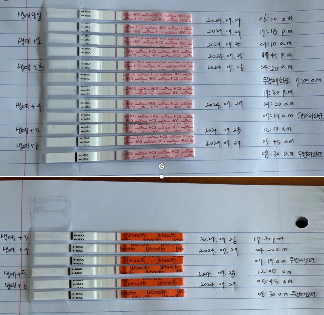 생예+6, 오늘까지의 임테기 입니다. 화유일까요….?
