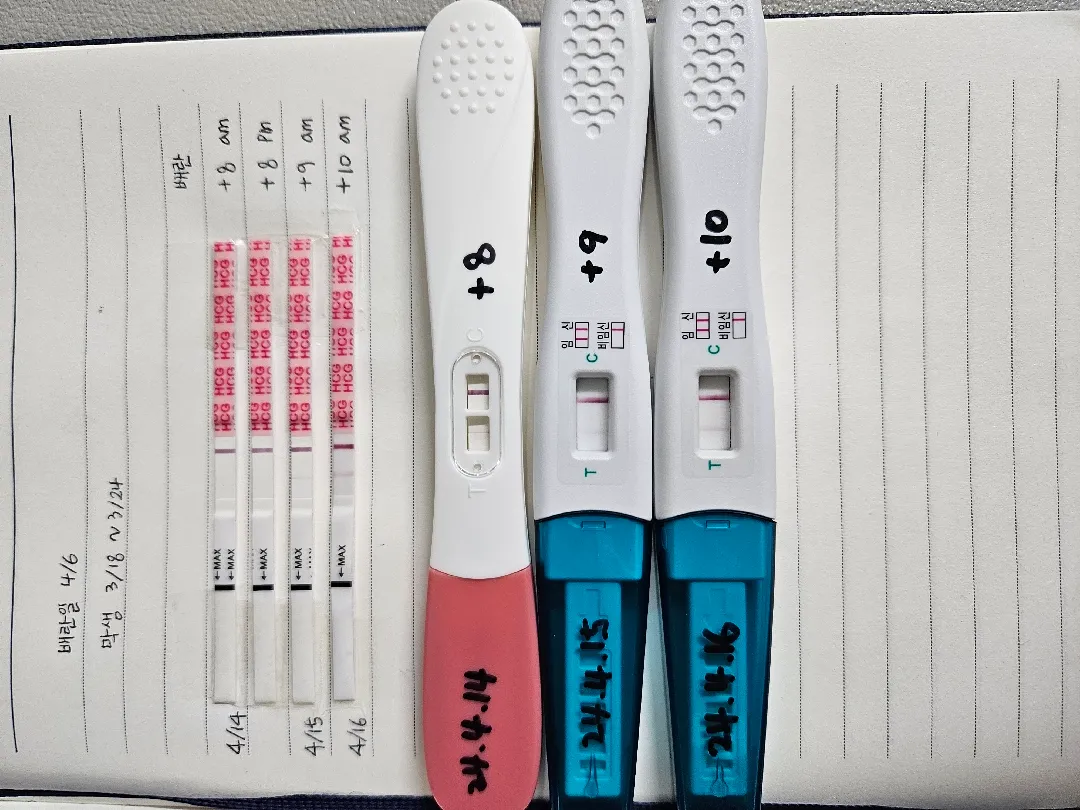 병원 4월 24일에 가려는데 아기집 보일까요?