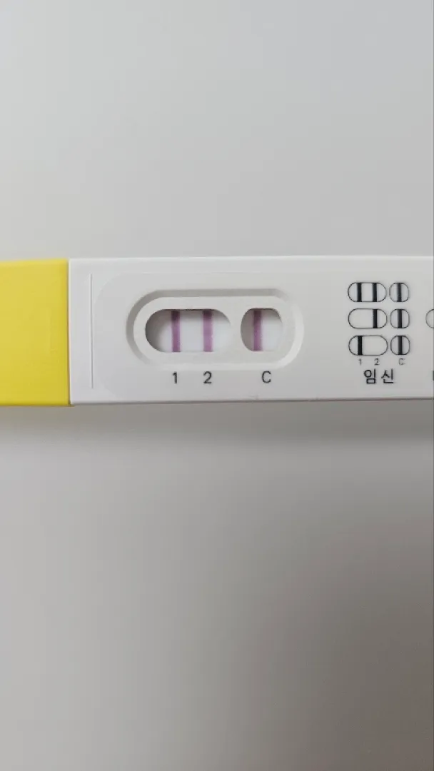 쓰리데이 1번 역전한거 맞죠??