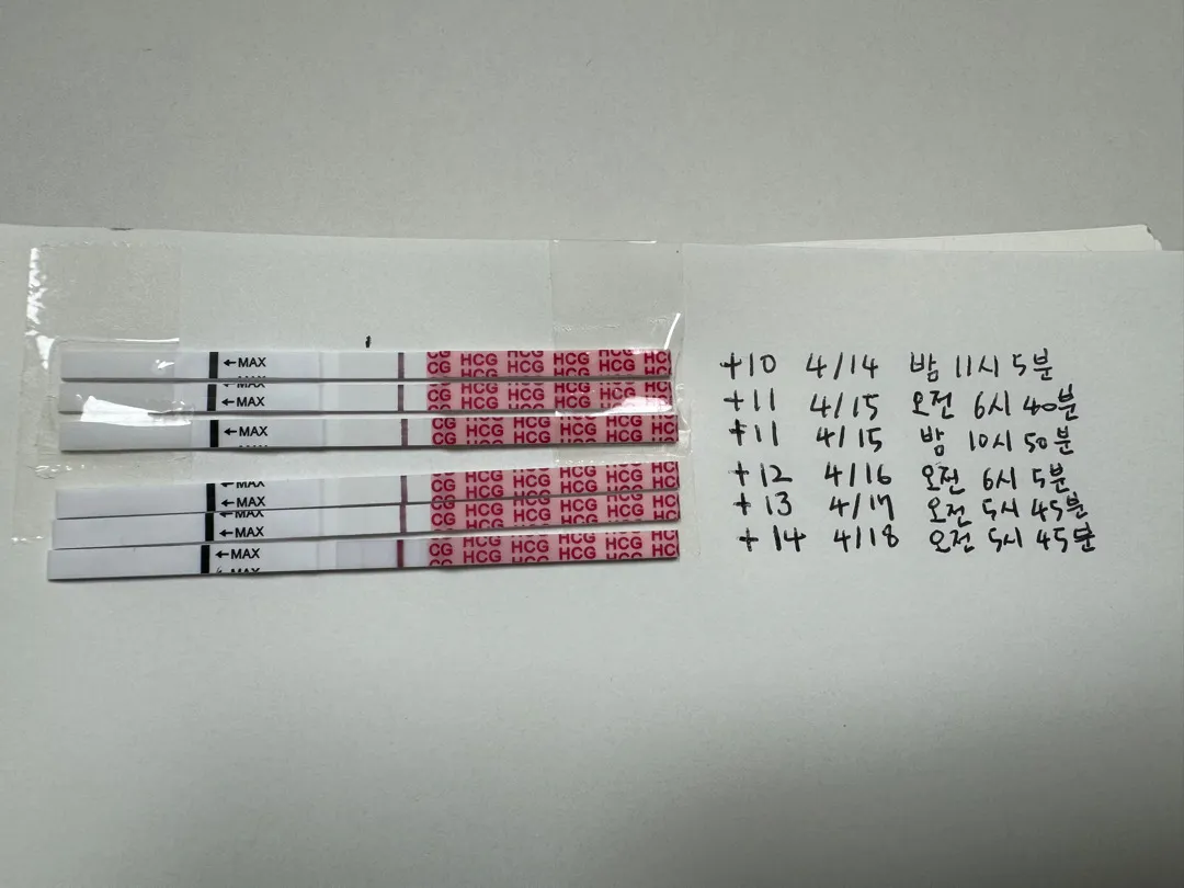 3주차, 임테기 진하기 봐주실수 있으실까요?