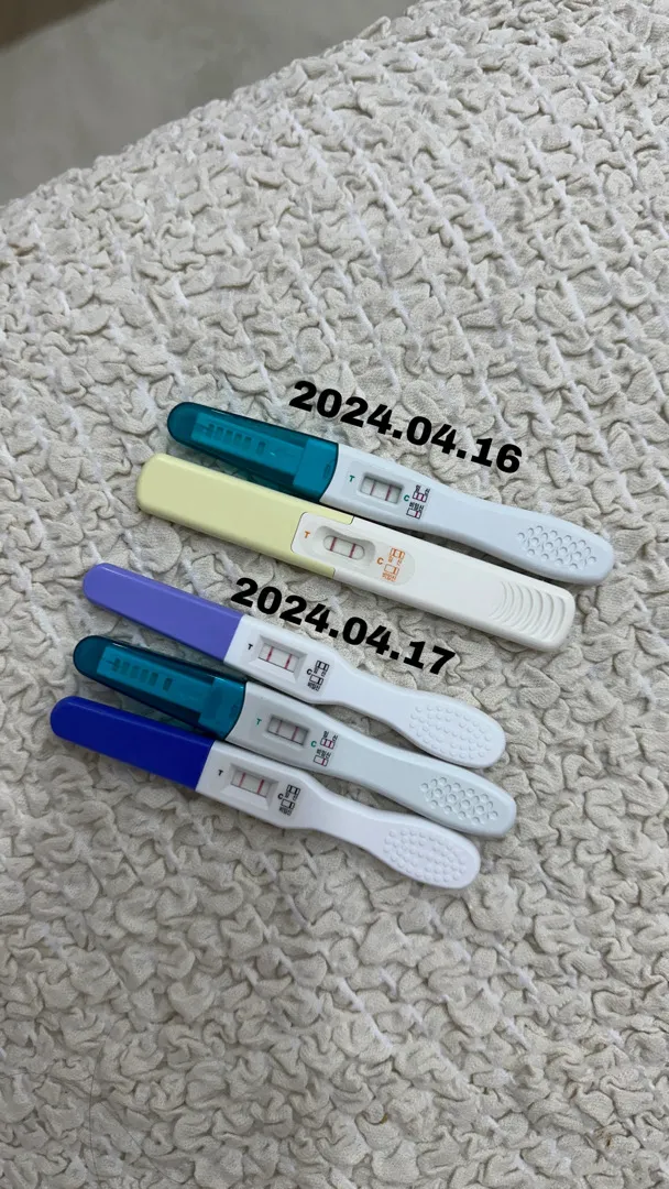 5주차는 아기집은 어느정도일까요 ?