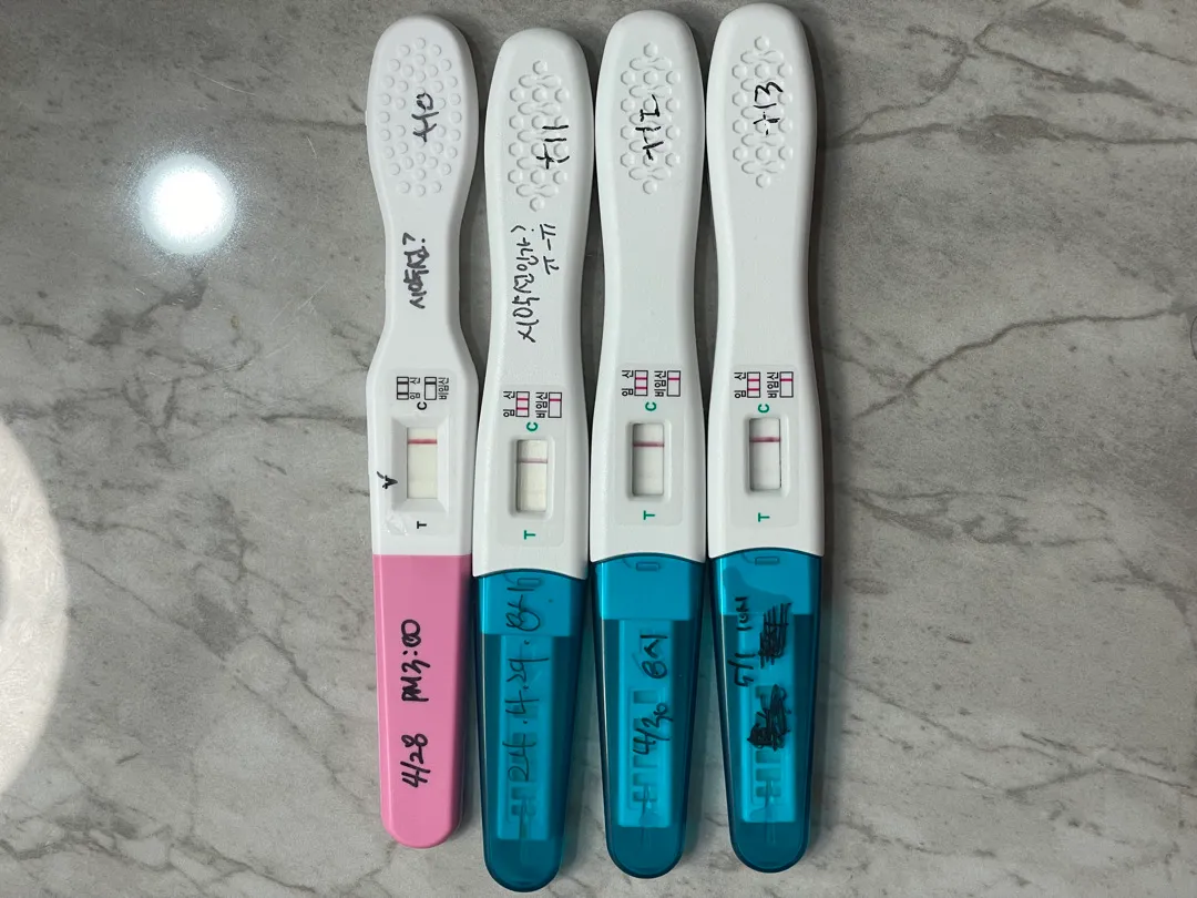 배란13일차 생예3일전 얼리 상태(흐릿두줄)
