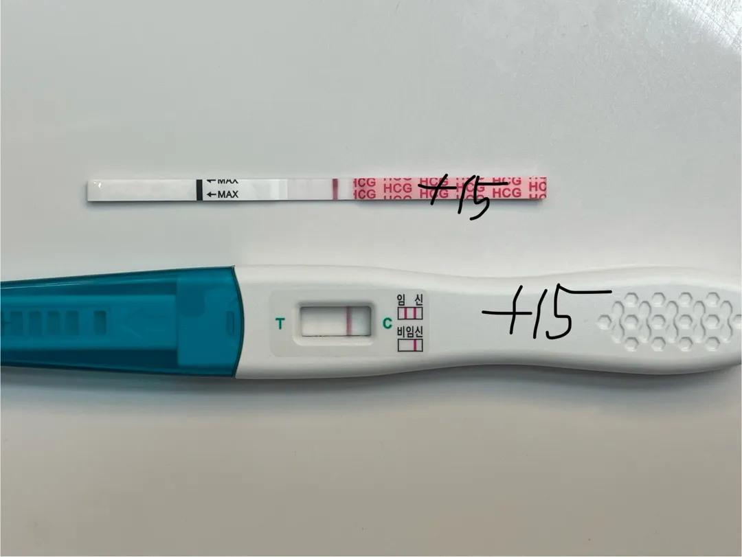 어제글올렸는데 오늘15일차 임테기입니다