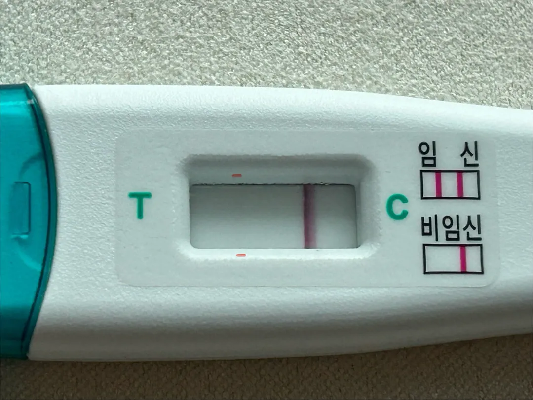 배란+15 초매직 두줄 맞을까요..?