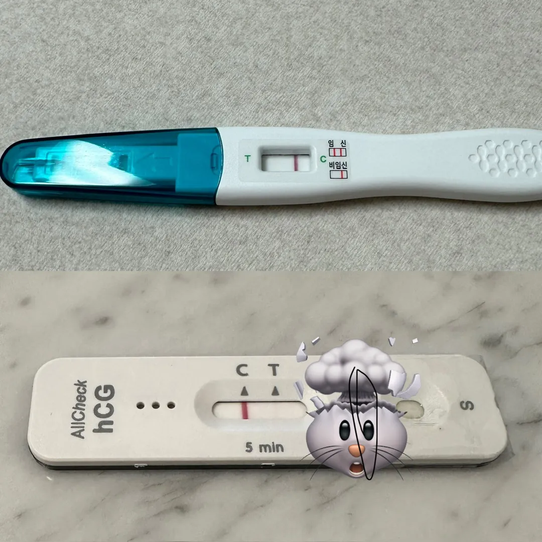 사진 좀 봐주세요