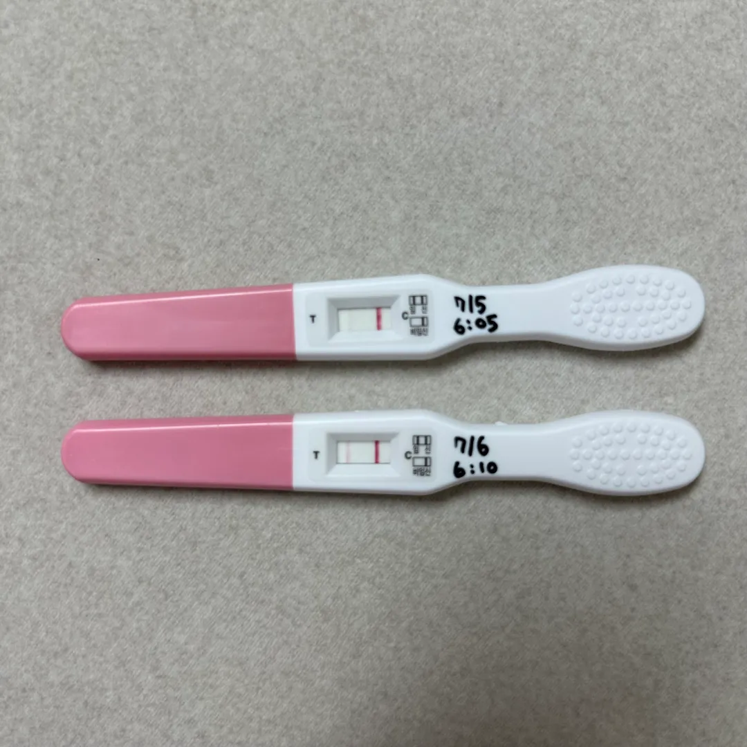 계류유산 후 재임신