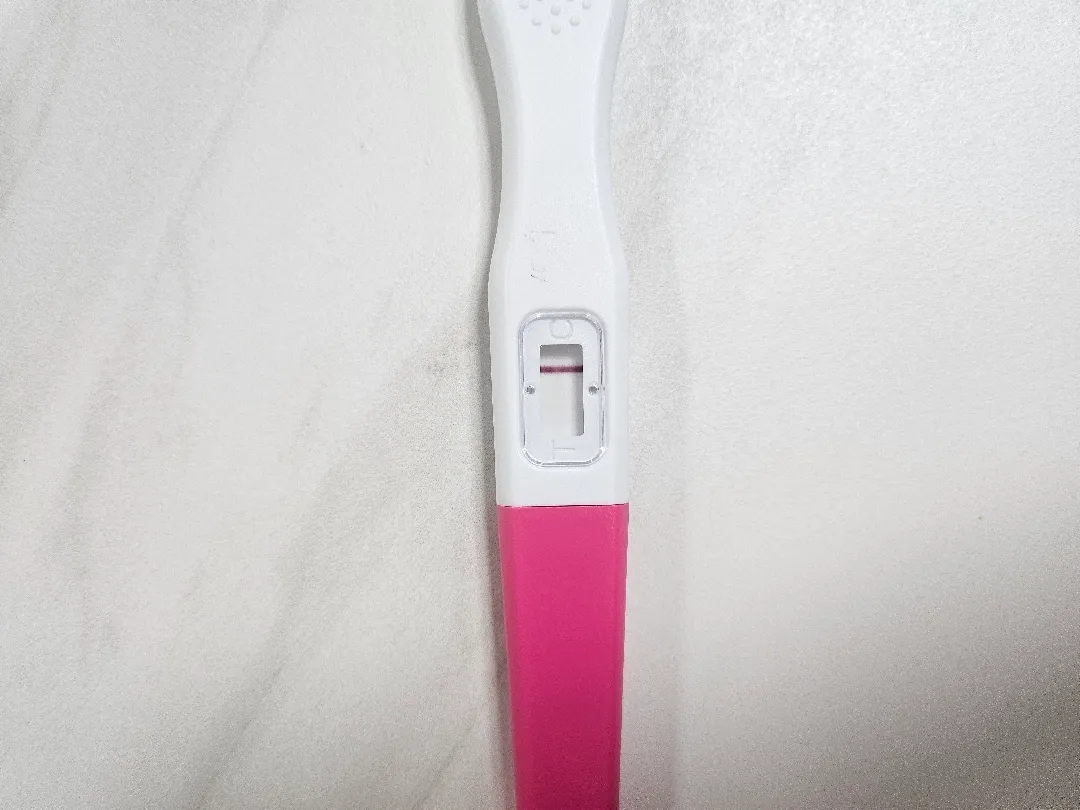 배란 12일차