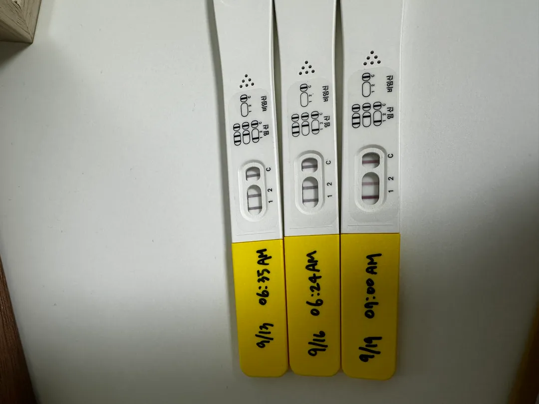 5주6일차 파이널테스트 진하기 봐주세요..!