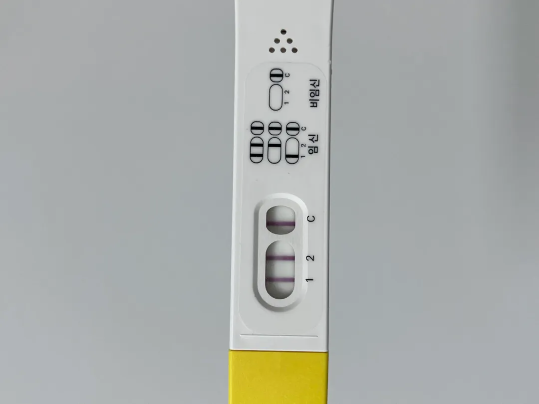 아기집이랑 난황까지 볼수있을까요? 