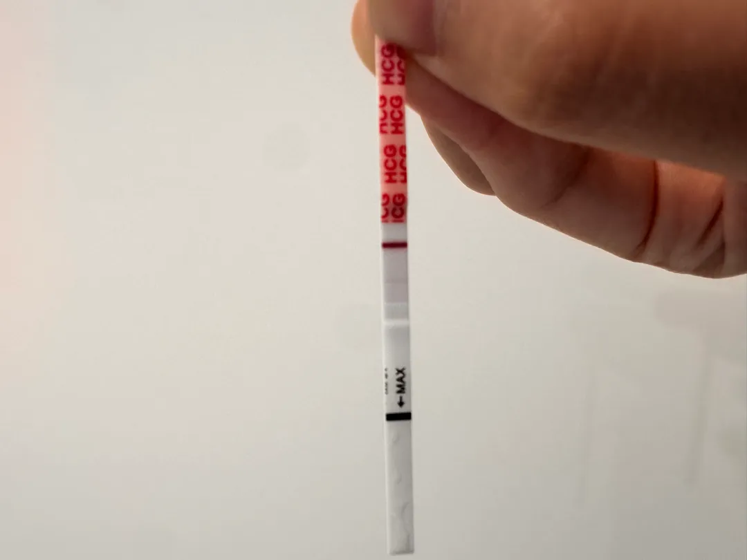 아기천사가 찾아온거 맞을까요?