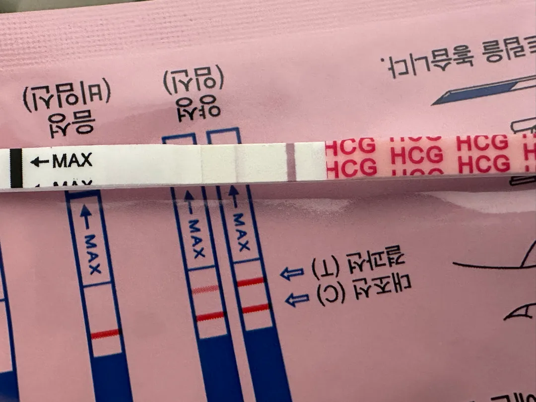 임신 맞을까요?