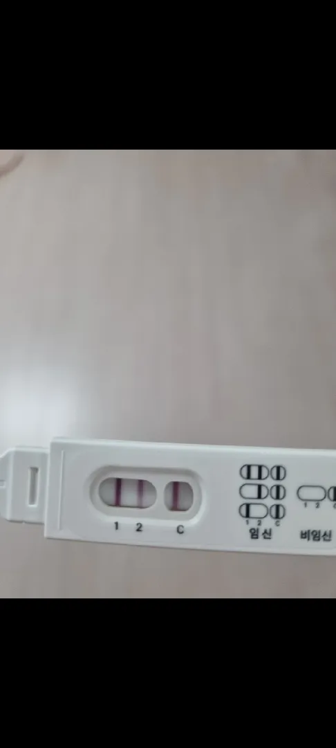 파이널 테스트기