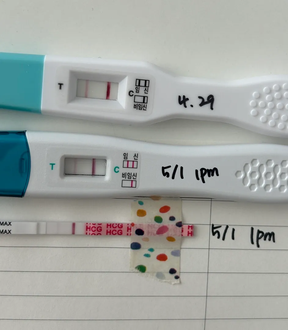 임테기 진해지는 시기ㅠㅠ