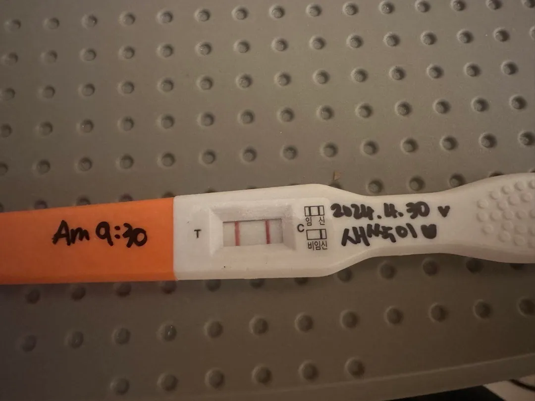 두줄 떴어요