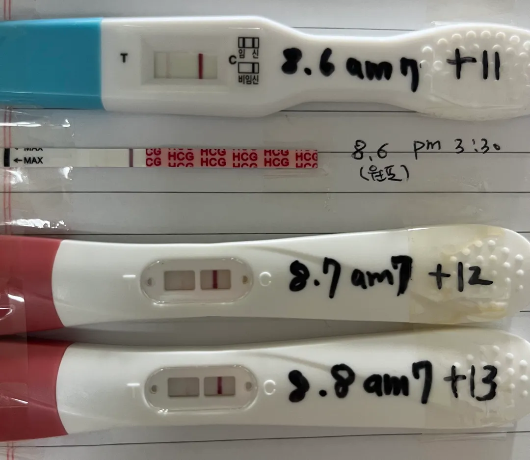 임테기 좀 봐주세요ㅠㅠ