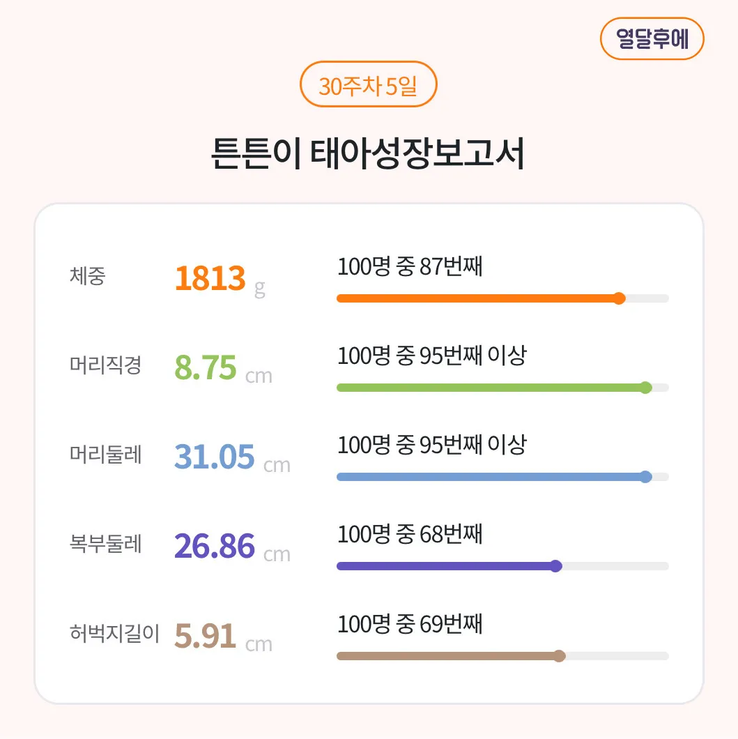 왕대두..