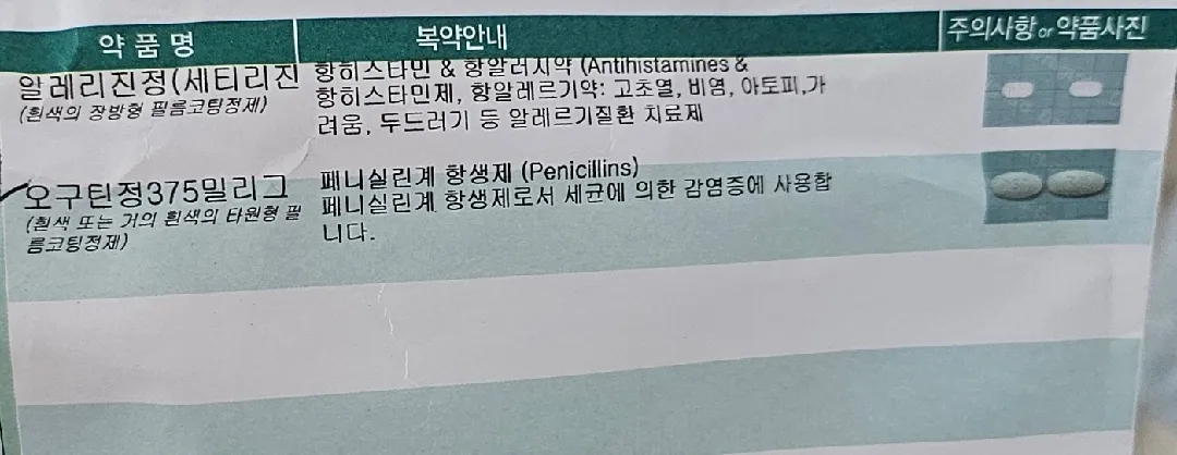임산부 항생제