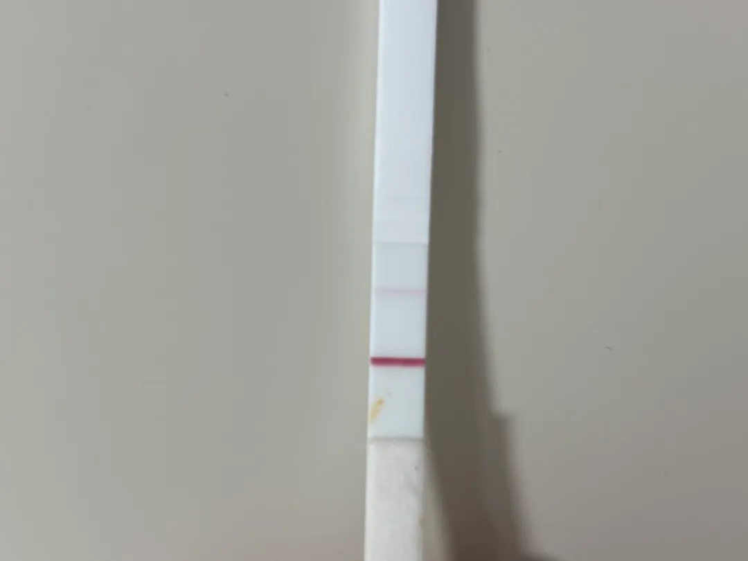 7월 23일 막생인데 벌써 임테기에 이렇게 뚜렷하게 뜰 수 있나요?