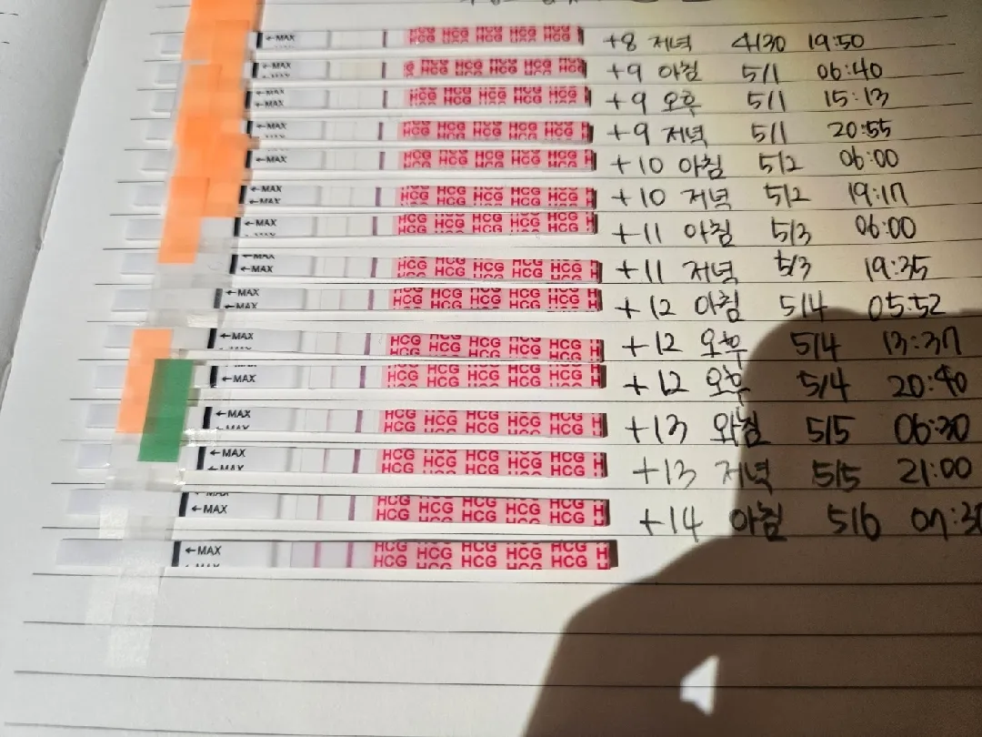 배콕콕 위치