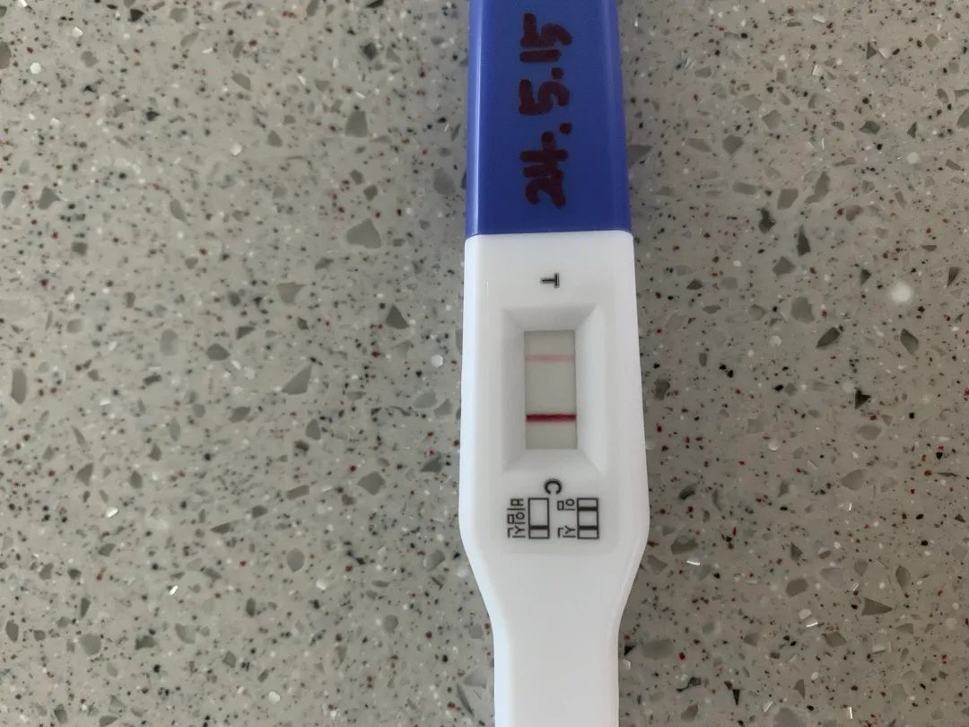 맞는 거겠죠?