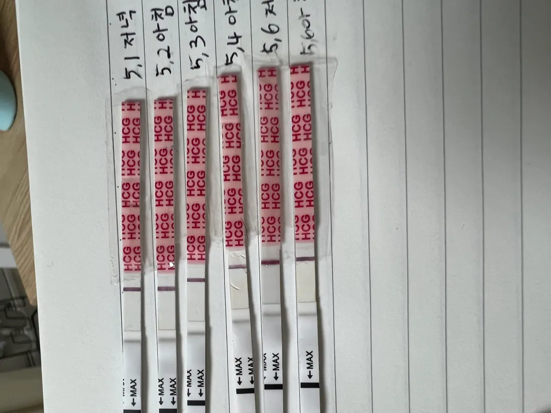 언제쯤이면 애기집볼수있을까요?