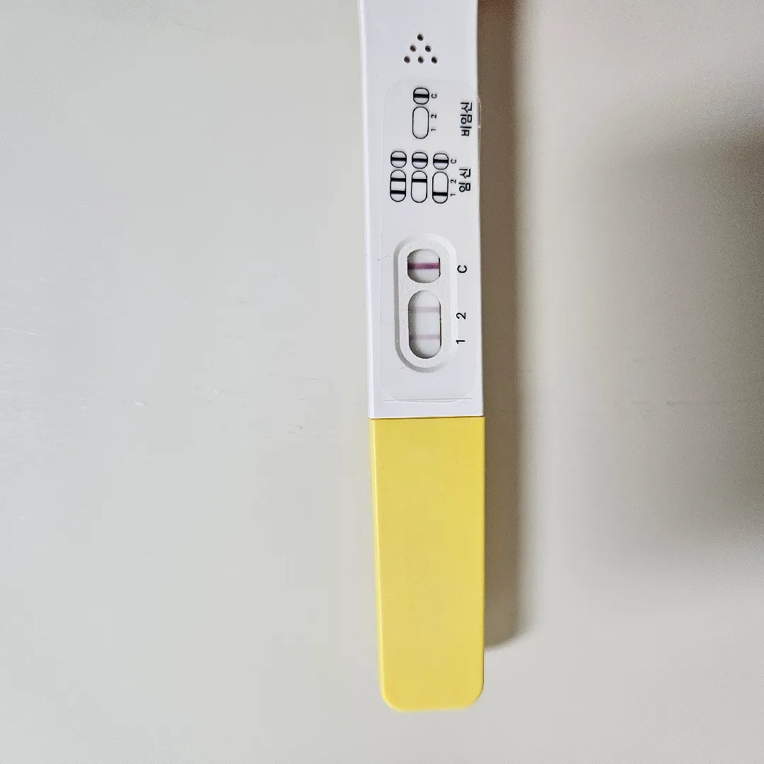 파이널체크임테기 연함..