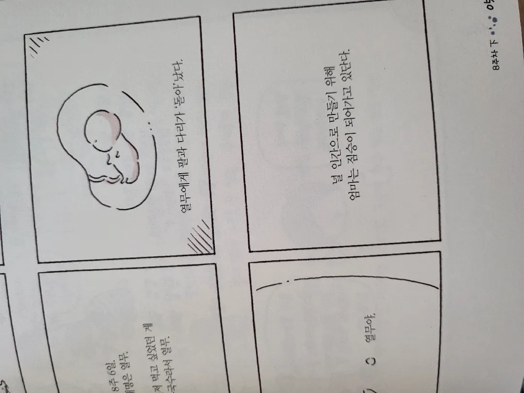 책 글귀