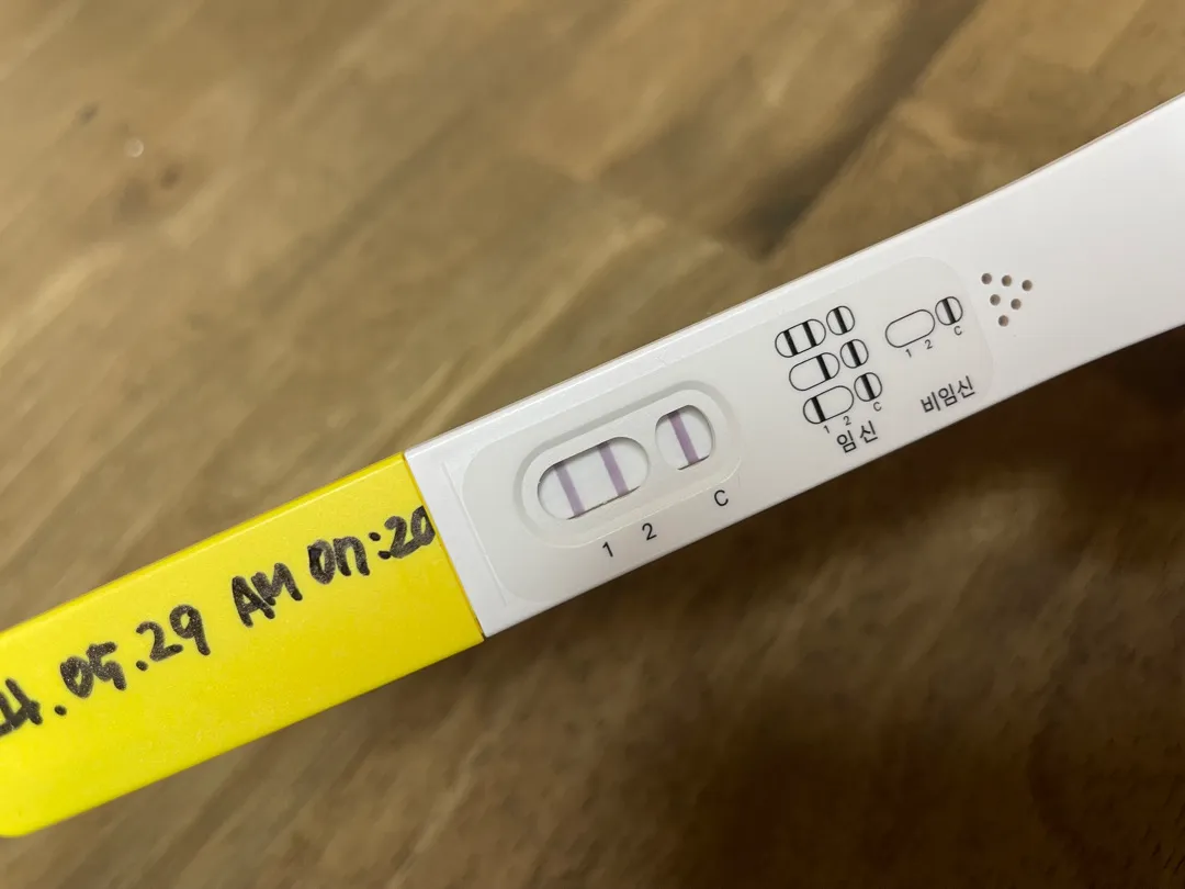 5주 2일?3일인데 난황 안보임