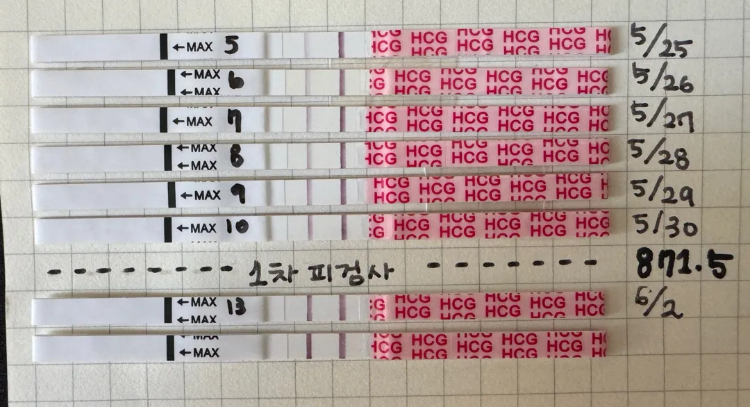 시험관 이식 15일차 원포 그리고 피비침