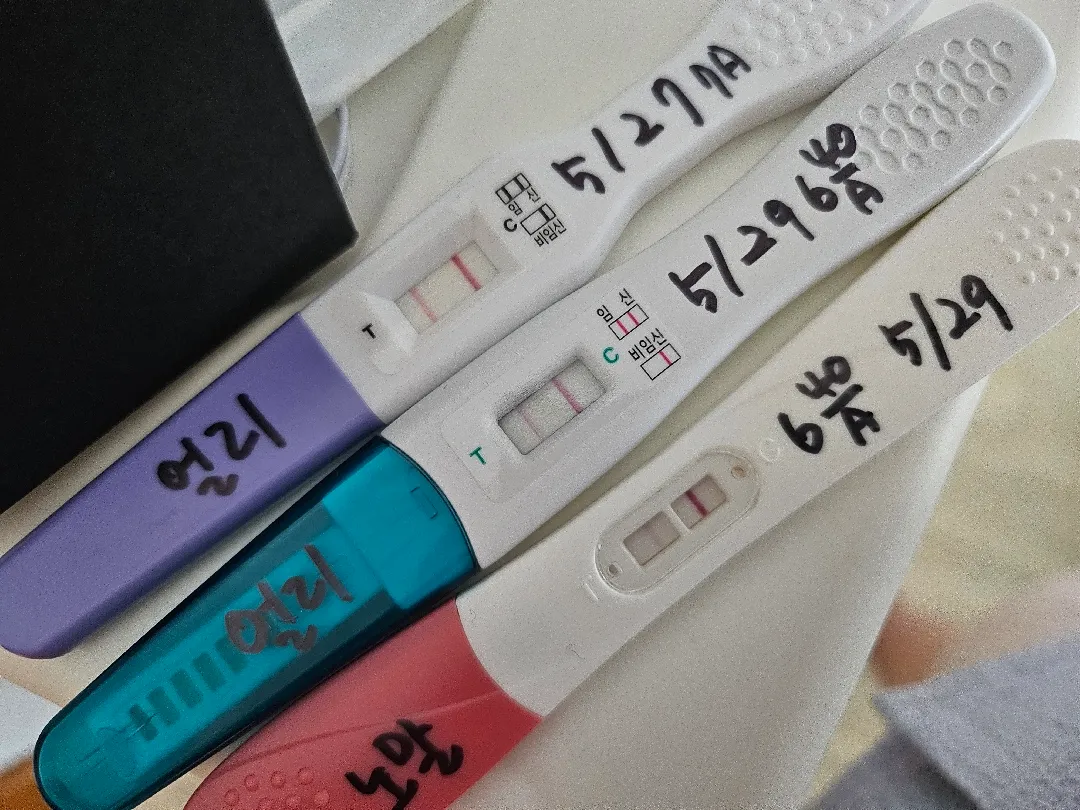 임테기좀봐주세요!