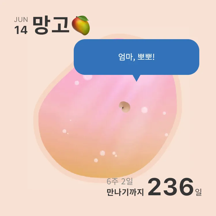 네이버,베이비빌리 기준으로 6주 3일차인데 원장님께서 4-5주라고 하셔서요🤣