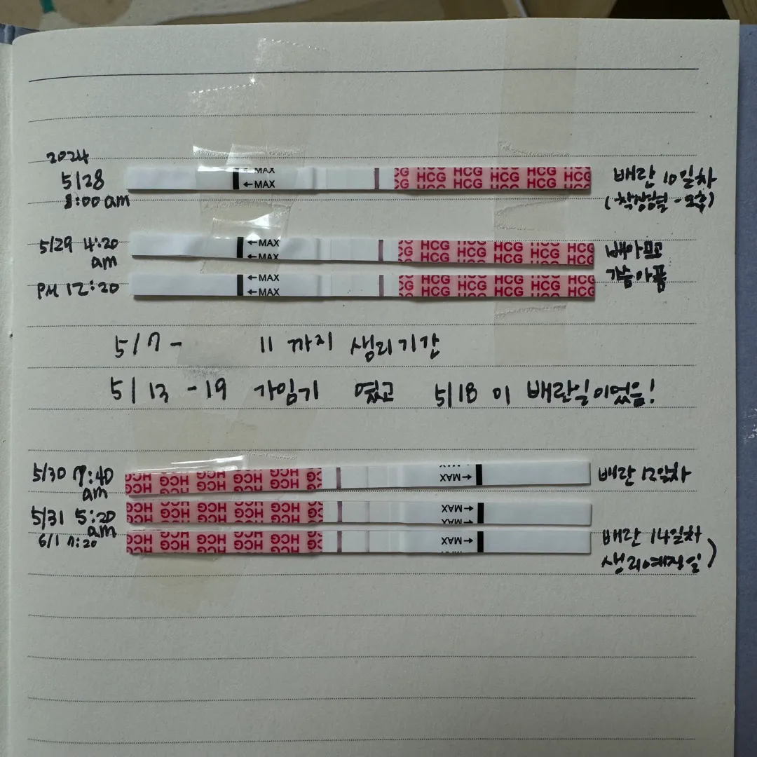 언제쯤 병원가면 될까요?