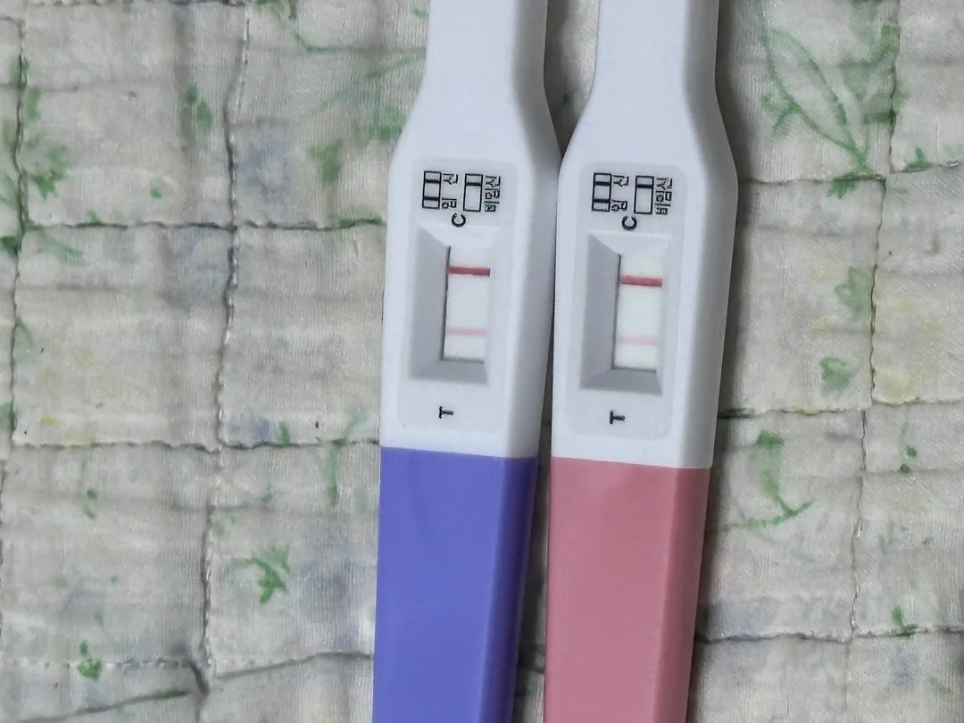 저 임신 맞을까요ㅠㅠ