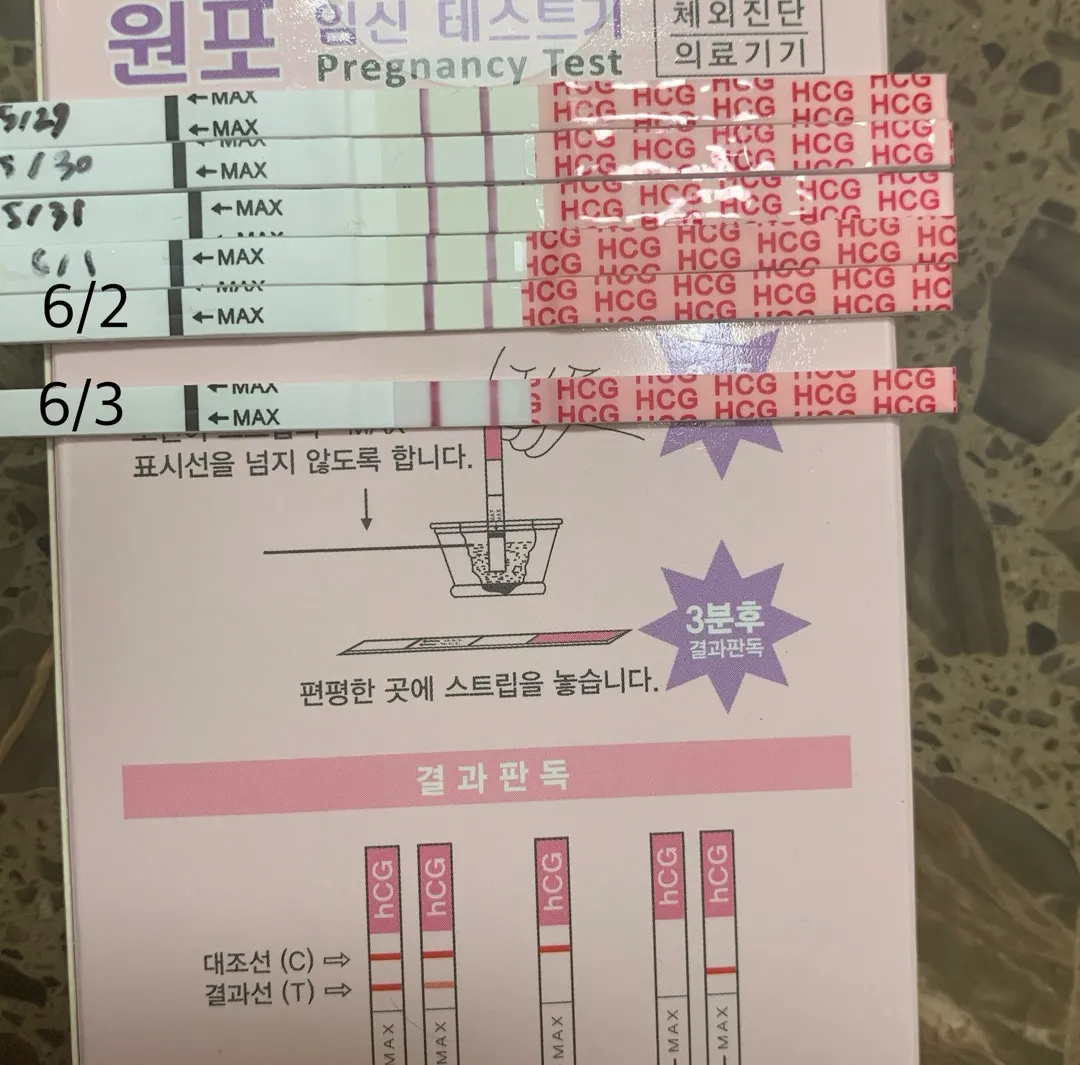 아기집 보고싶네요.