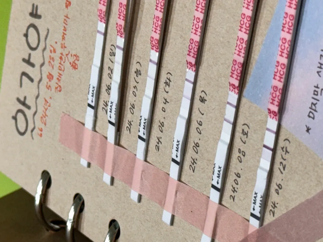 심장소리,난황 가능?!!