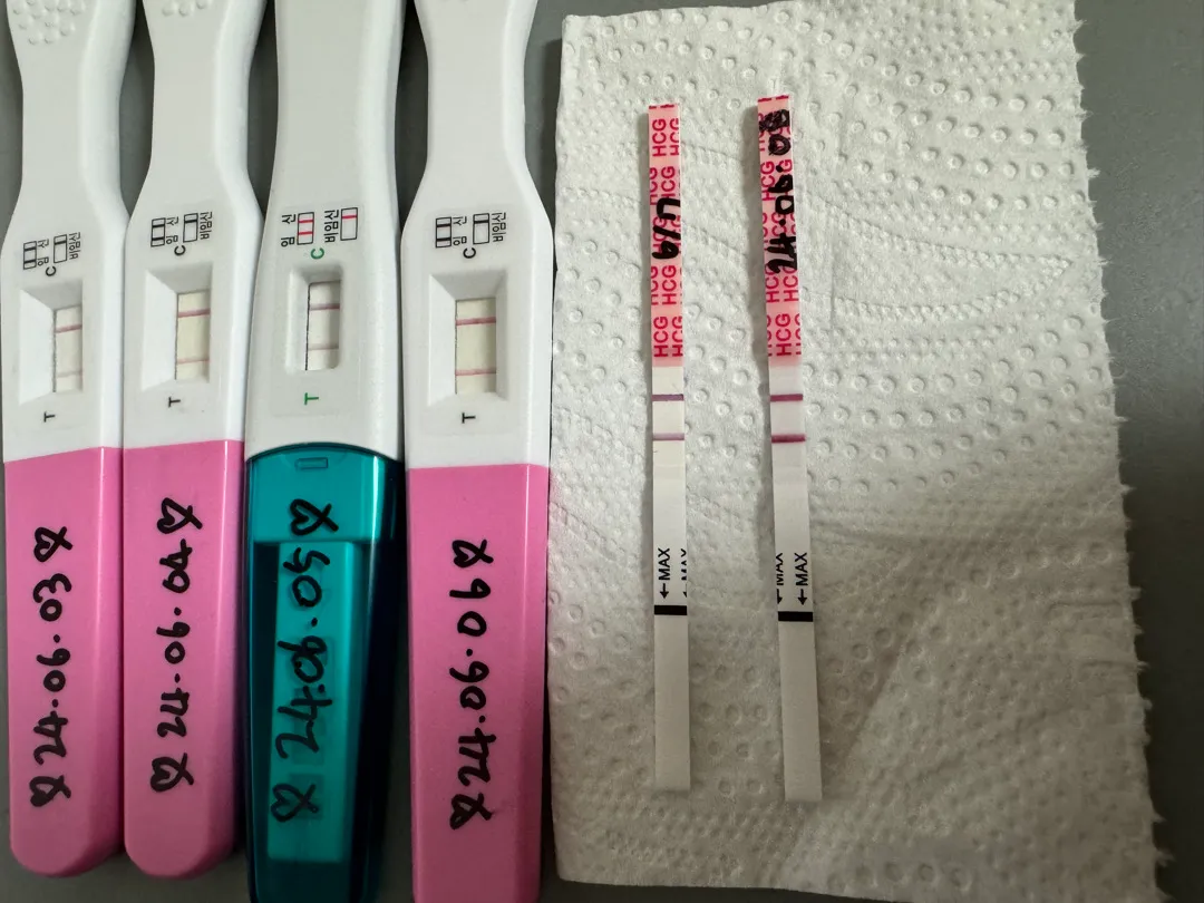 아기집 볼 수 있을까요??
