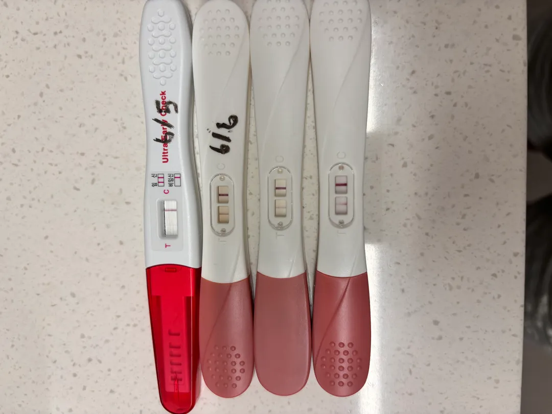 임테기 좀 봐주세용 ㅠㅡㅠ